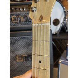 Fender American Pro Telecaster Deluxe Shawbucker (USATO)