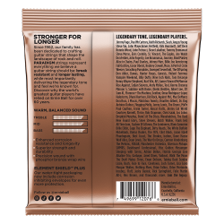 Ernie Ball 2076 Paradigm Phosphor Bronze 12-54