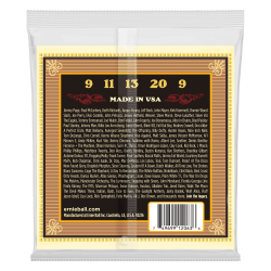 Ernie Ball 2063 Earthwood 5-String Banjo 9-20