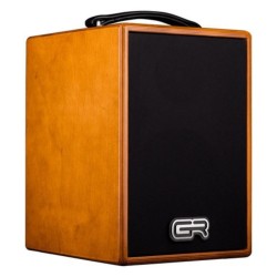 GR GUITAR WD Acoustic 8