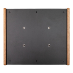 Walrus Audio DFX-1
