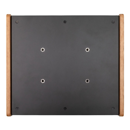 Walrus Audio DFX-1