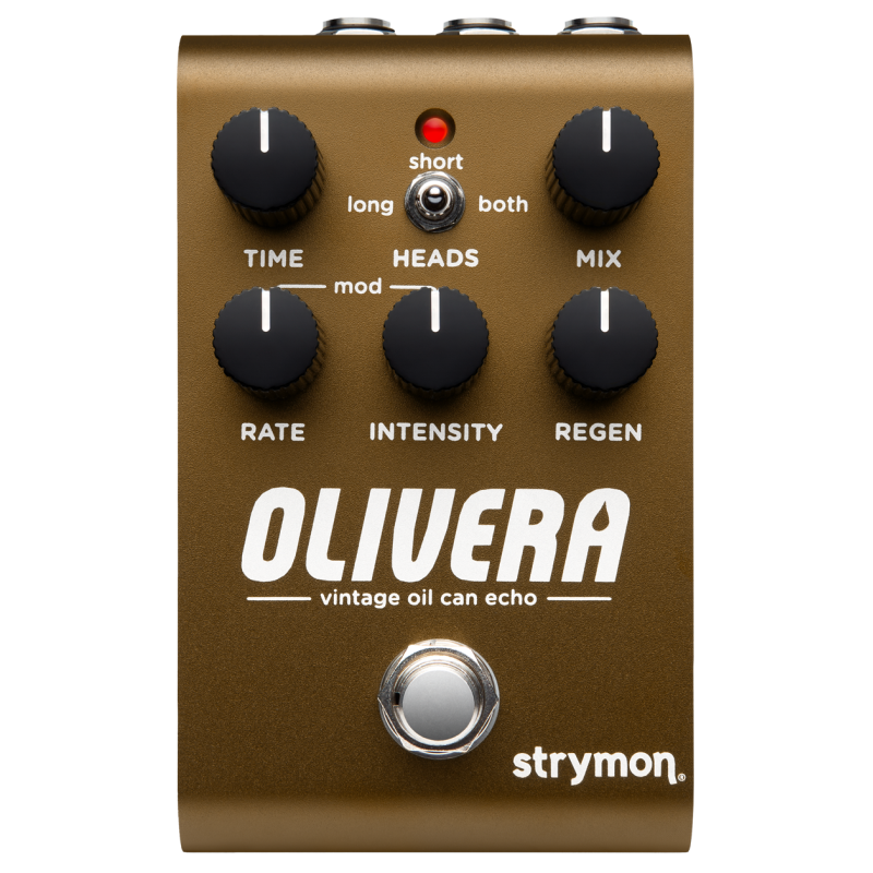 Strymon Olivera Vintage Oil Can Echo