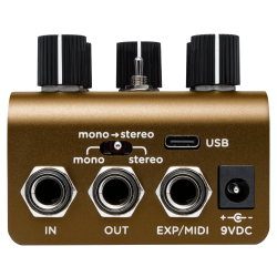 Strymon Olivera Vintage Oil Can Echo