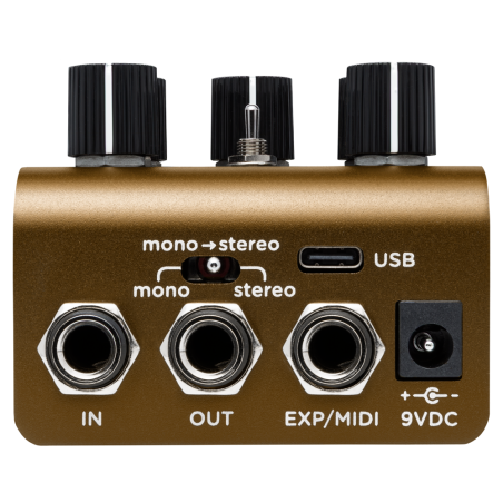 Strymon Olivera Vintage Oil Can Echo