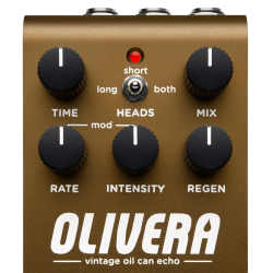 Strymon Olivera Vintage Oil Can Echo