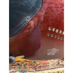 YAMAHA RGX 520 DZ (USATO)