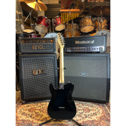 Fender American Pro Telecaster Deluxe Shawbucker (USATO)