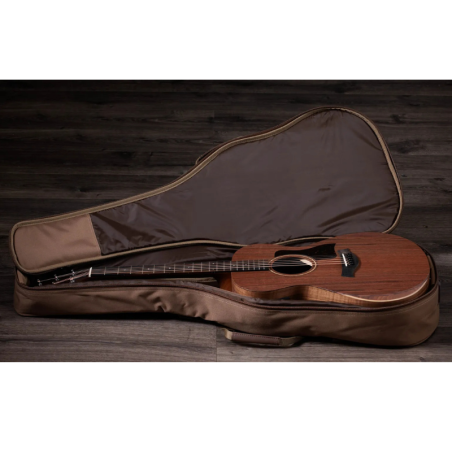 Taylor Academy 22e