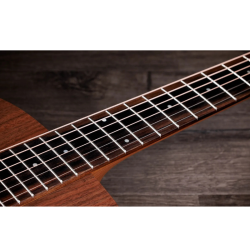 Taylor Academy 22e
