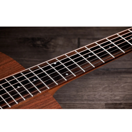 Taylor Academy 22e