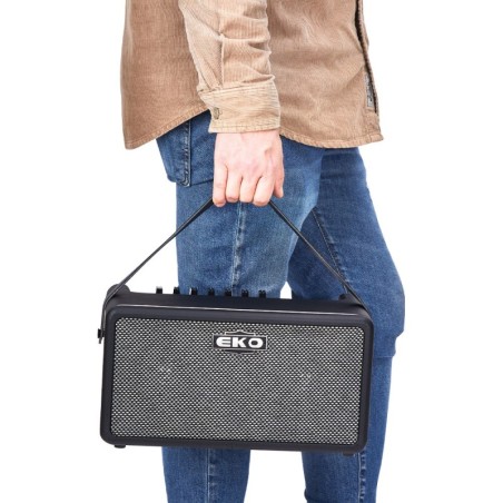 Eko BAIO AMP 25