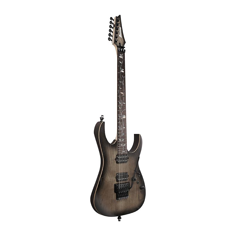 Ibanez RG8620AH-AGF Anvil Gray Burst Flat