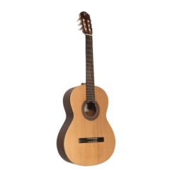 Josè Torres JTC-5S LH