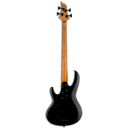 LTD B-204DX Red Burst