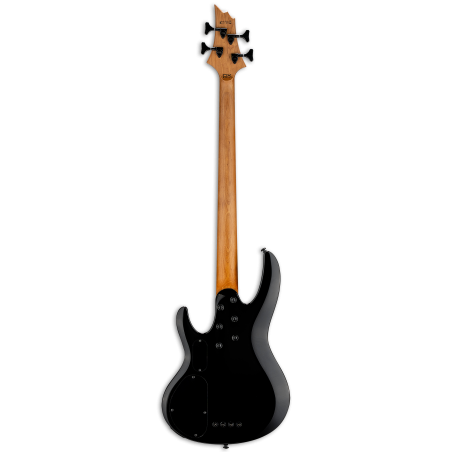 LTD B-204DX Red Burst