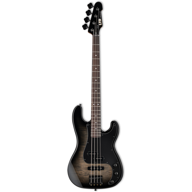 LTD SURVEYOR-204DX Black Burst