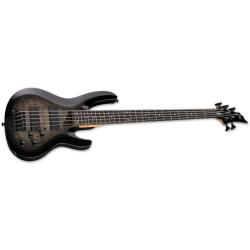 LTD B-205DX Black Burst