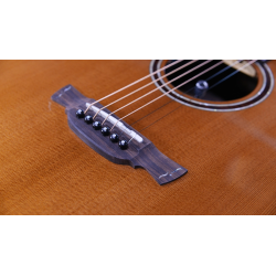 Crafter LX G-2000CE