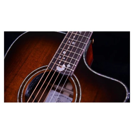 Crafter MIND D-2500ce ALK DL