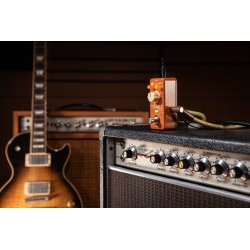 IK Multimedia TONEX ONE Double Special