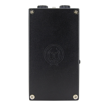 Walrus Audio Canvas Mono
