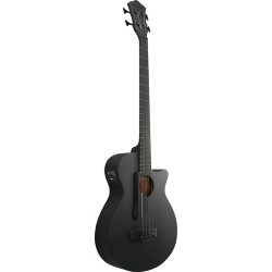 Ibanez AEGB420-BOT Black Out