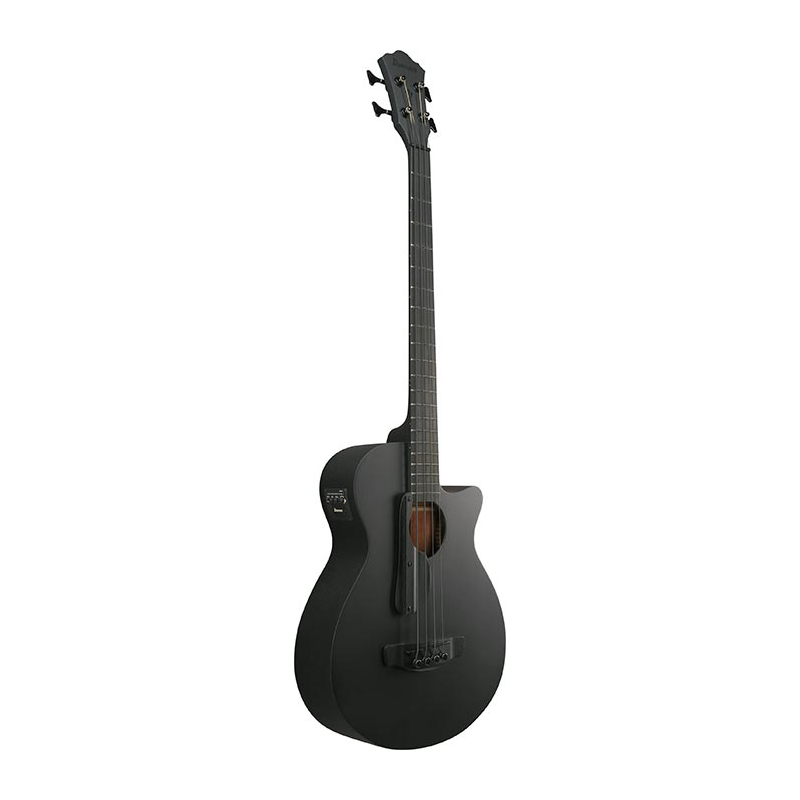 Ibanez AEGB420-BOT Black Out