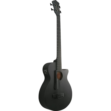 Ibanez AEGB420-BOT Black Out