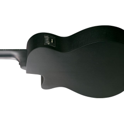 Ibanez AEGB420-BOT Black Out