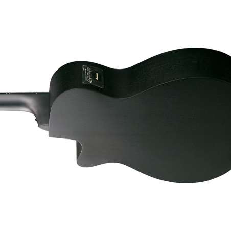 Ibanez AEGB420-BOT Black Out