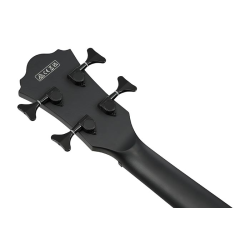 Ibanez AEGB420-BOT Black Out