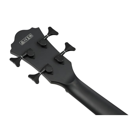 Ibanez AEGB420-BOT Black Out