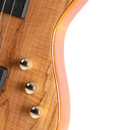 Cort Jeff Berlin Rithimic Natural Gloss