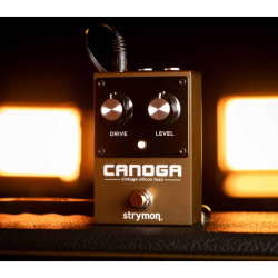 Strymon Canoga
