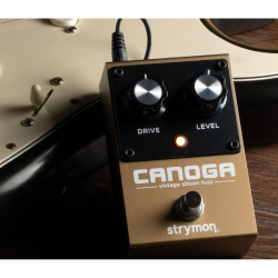 Strymon Canoga