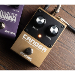 Strymon Canoga