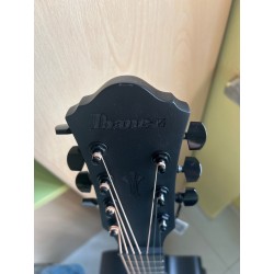 Ibanez AEG721-BOT Black Out (EX-DEMO)