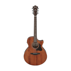 Ibanez AE140-OPN Open Pore Natural
