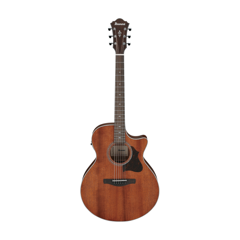 Ibanez AE140-OPN Open Pore Natural