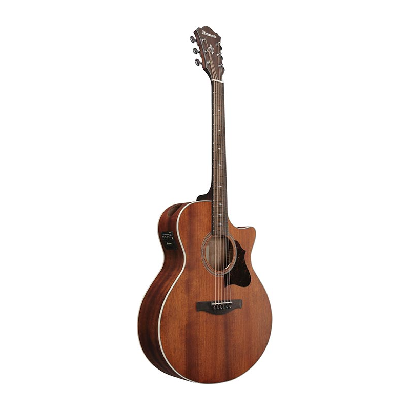 Ibanez AE140-OPN Open Pore Natural