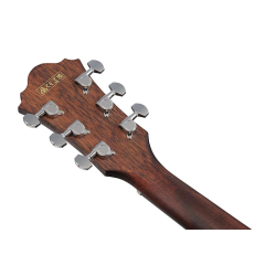 Ibanez AE140-OPN Open Pore Natural