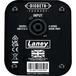 Laney Digbeth DBF210-4