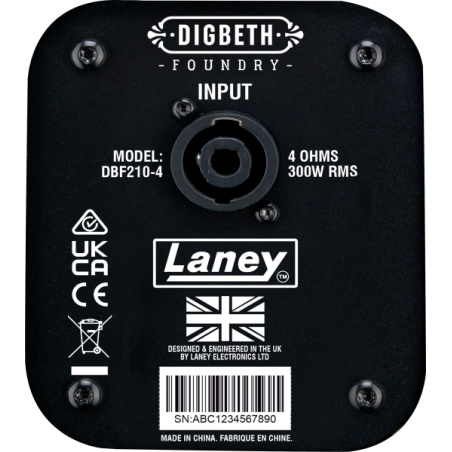 Laney Digbeth DBF210-4