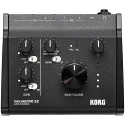 Microaudio 22