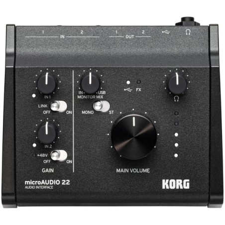 Microaudio 22