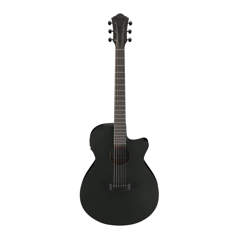 Ibanez AEG621-BOT Black Out