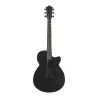 Ibanez AEG621-BOT Black Out (B-STOCK)