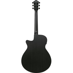 Ibanez AEG621-BOT Black Out