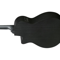 Ibanez AEG621-BOT Black Out